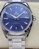 Seamaster Aqua Terra 150M 41 mm, steel on steel