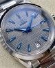 Seamaster Aqua Terra 150M 41 mm, steel on steel