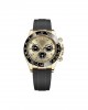 Cosmograph Daytona Golden and bright black Oyster, 40 mm, yellow gold